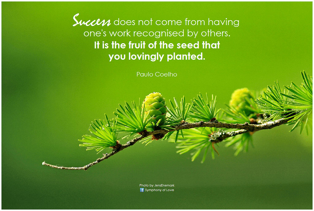 Success result work