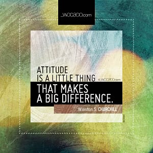 Attitude