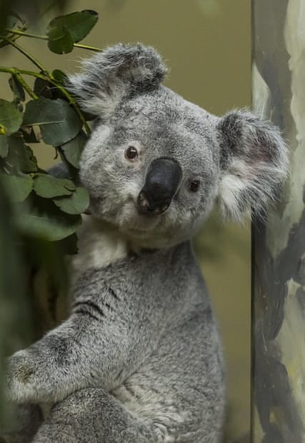 unexpected benefits boredom