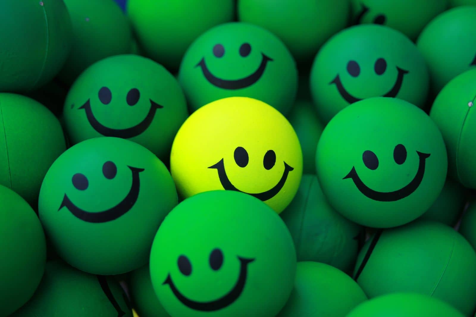 reasons smile every day
