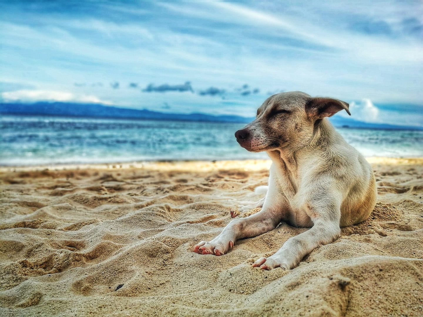 secrets benefits summer 