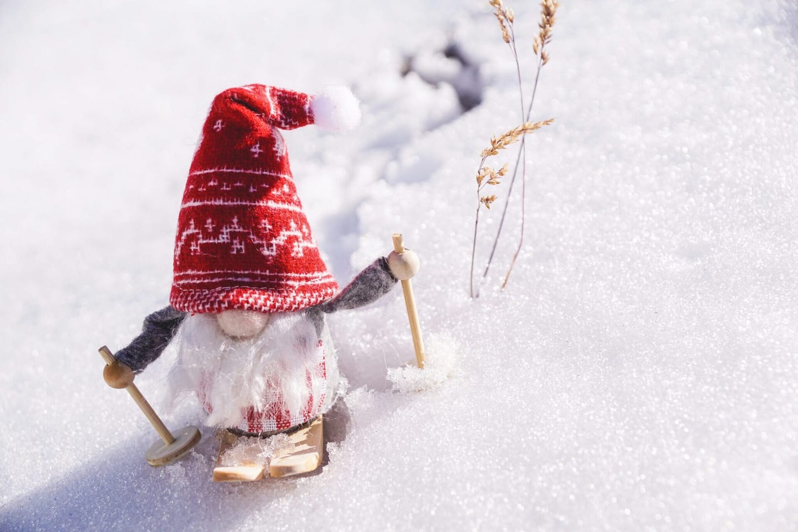 winter vacation tips