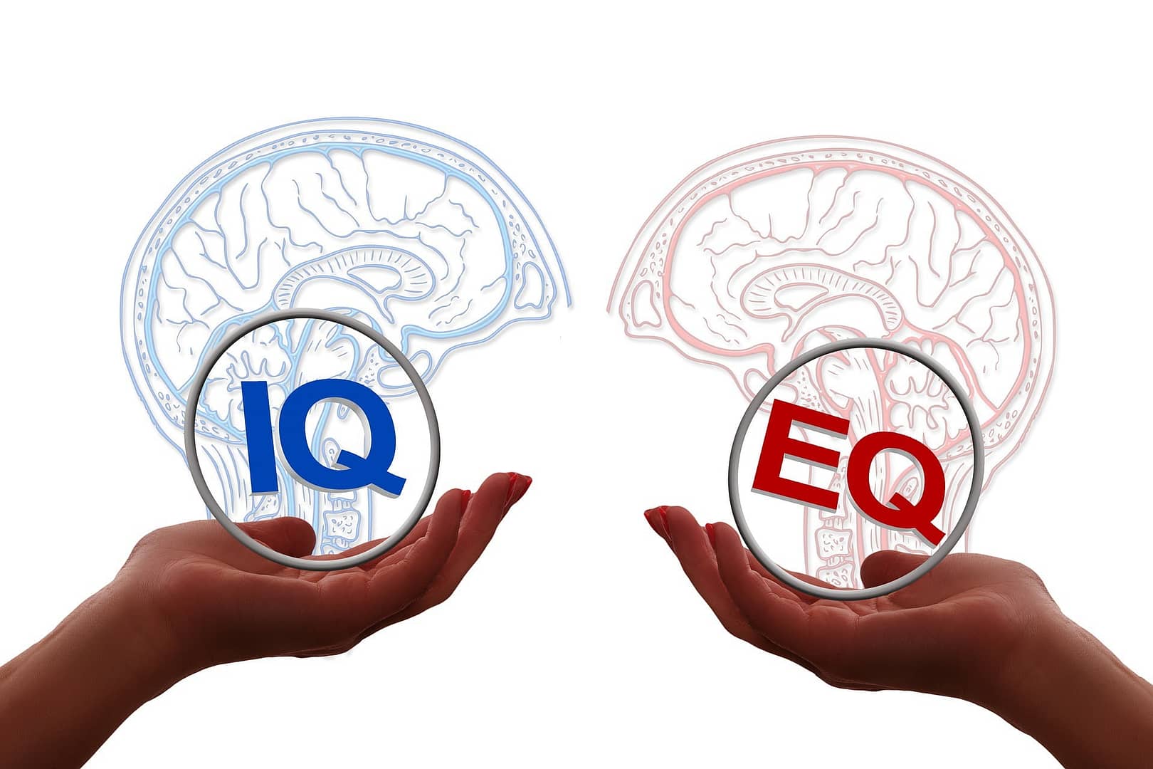 factors emotional intelligence