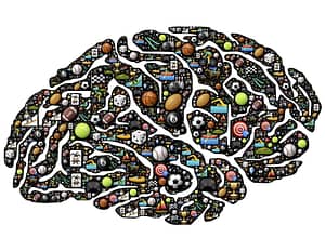 Brain Fitness Sites